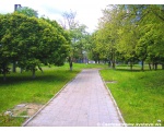 Фото алеи парка за "Белым домом" Сватово.